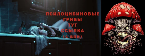МДПВ Костерёво