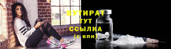 шишки Кодинск