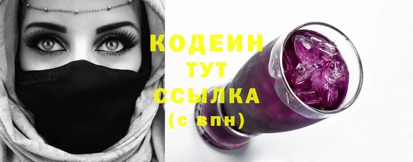 МДПВ Костерёво