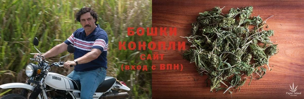 МДПВ Костерёво