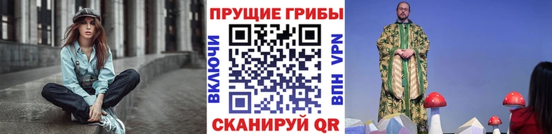 Галлюциногенные грибы Psilocybe  Купить где  Верхний Тагил 